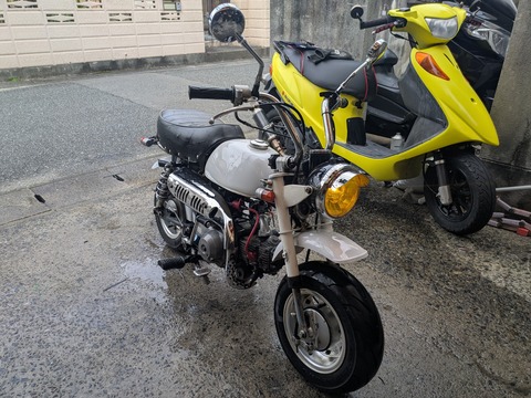 PXL_20241230_014933152