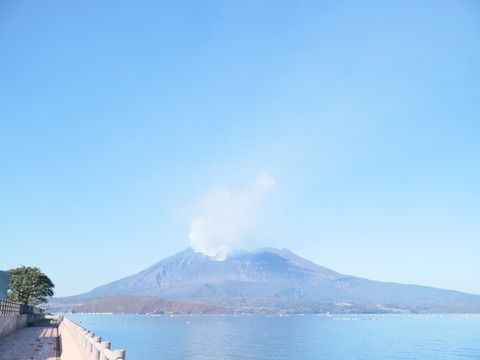 20240102101736_IMG_3014