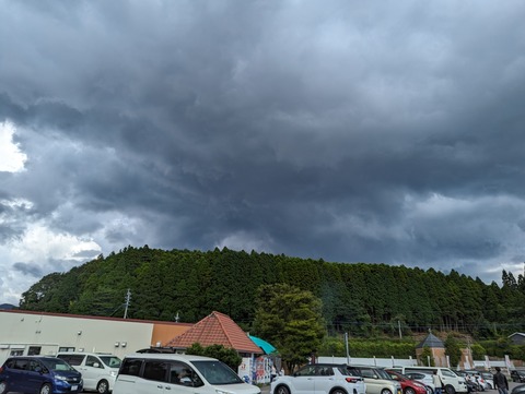 PXL_20230827_063746796