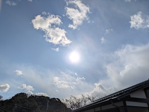 PXL_20260208_011934645