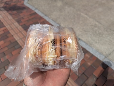 PXL_20260222_033035365