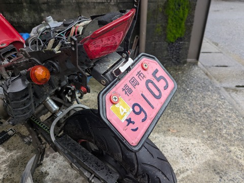 PXL_20250612_081200738