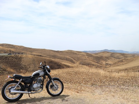 20210327130840_IMG_0194