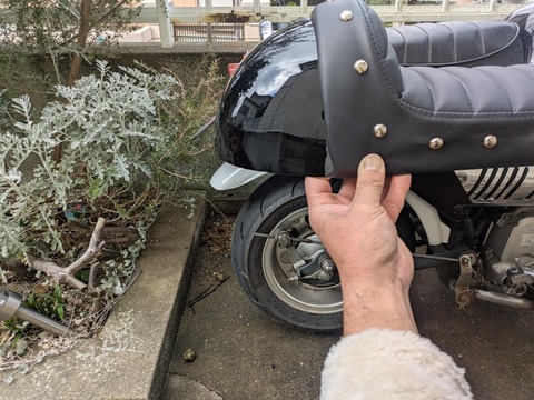 PXL_20260215_032809605