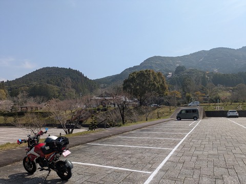 PXL_20260329_013044784