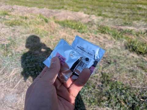 PXL_20260301_050247655