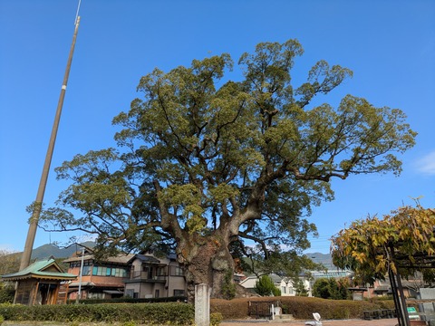 PXL_20251130_031910293