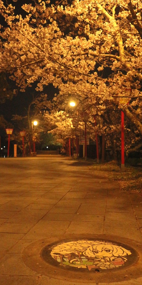 26-03-31-21-49-04-396_deco