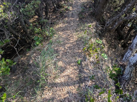 PXL_20260515_064332025