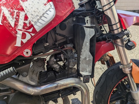 PXL_20241201_044227144