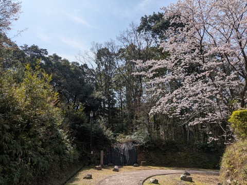 PXL_20260329_014551634