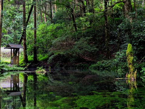 25-07-05-15-26-02-272_deco