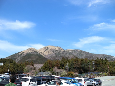 20210327123523_IMG_0183