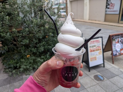 PXL_20251227_040742249