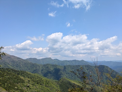 PXL_20260516_050347217