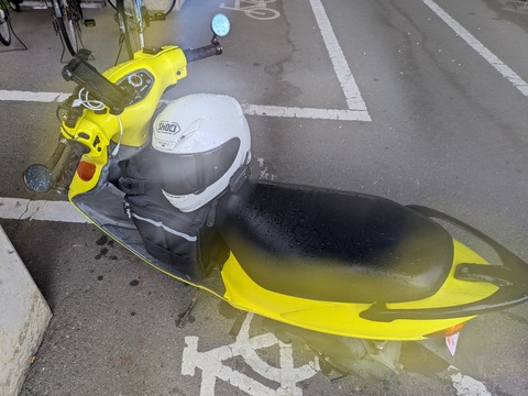 PXL_20260115_053833373