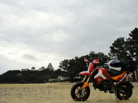 26-02-14-21-01-09-086_deco