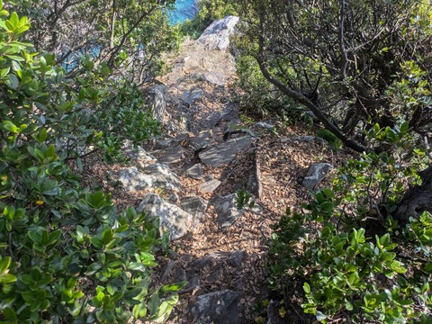 PXL_20260515_064444294