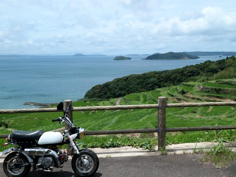 24-07-07-12-41-36-991_deco