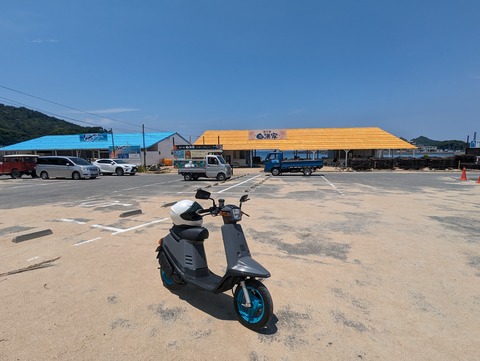 PXL_20240615_034046418