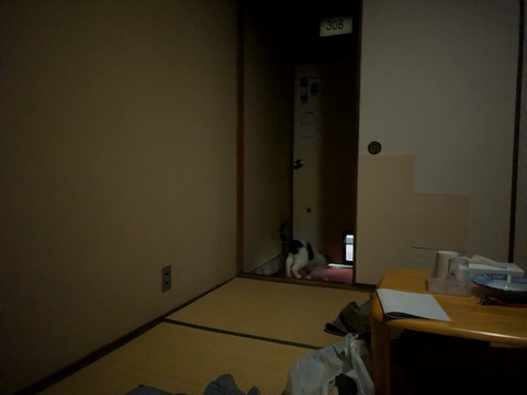 PXL_20260517_210306184