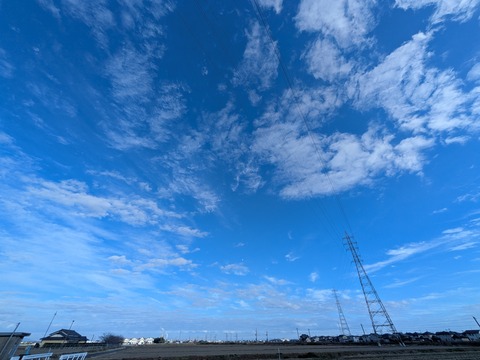 PXL_20251130_061219021