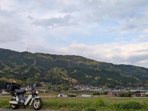 ORIGINAL