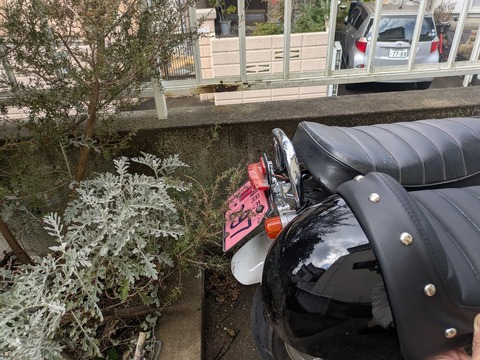 PXL_20260215_032753386