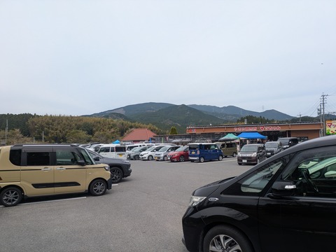 PXL_20260412_024050436