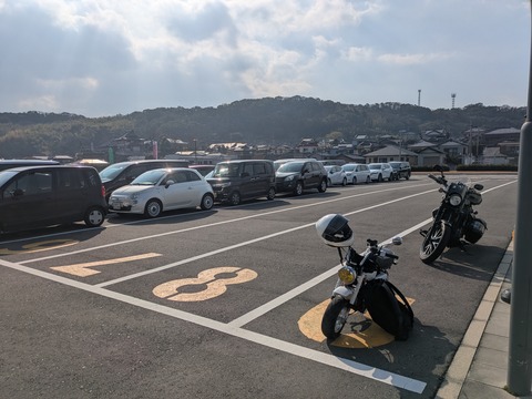 PXL_20241231_031606624