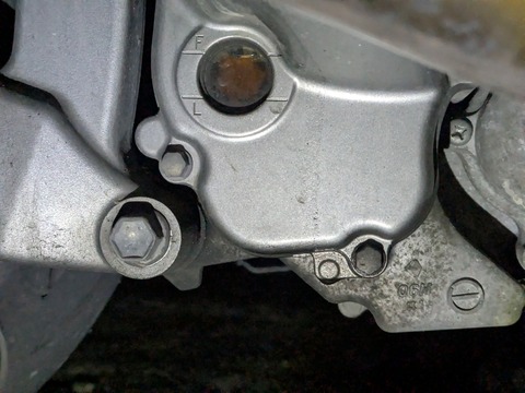 PXL_20260208_113135891