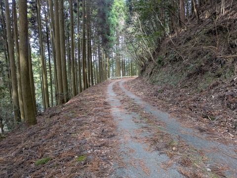 PXL_20260322_012311316