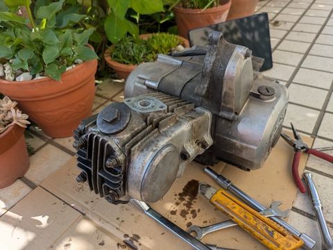 PXL_20250603_065332430