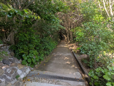 PXL_20260515_074259075