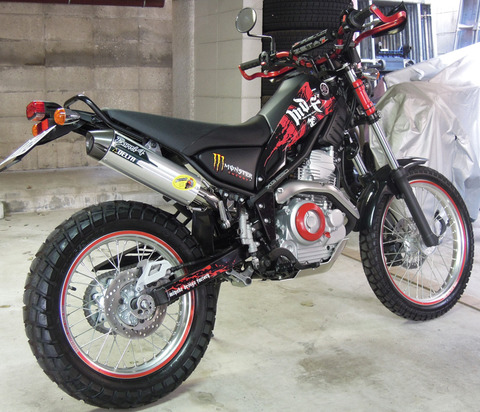 小さいバイクと生きていく トリッカーの試乗インプレが来ましたね オマケでブログランクが 4にレベルアップしました っていうのとこのブログの近況