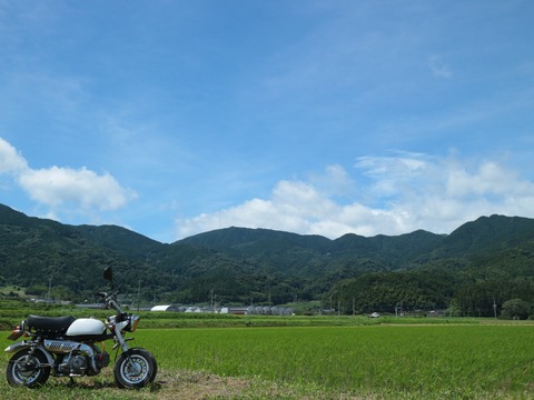 20240707104343_IMG_3952