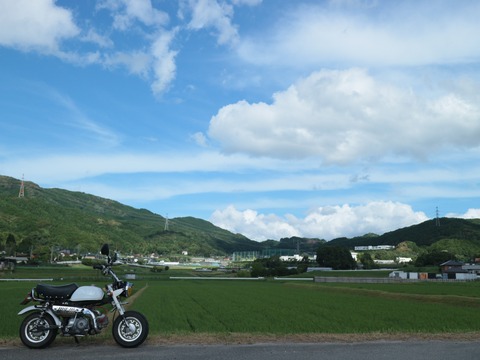 20240707155731_IMG_3960