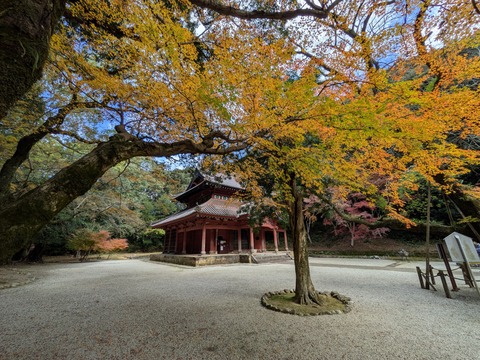 PXL_20251130_024250972