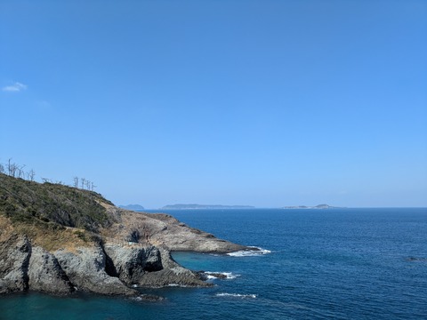 PXL_20260221_033707316