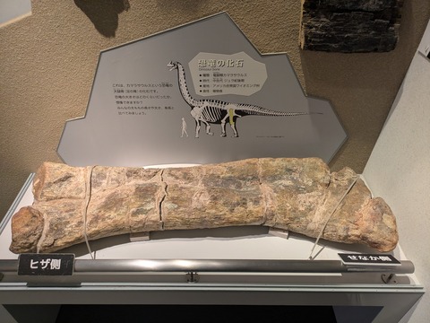 PXL_20251202_035922968