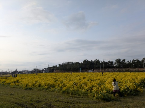 PXL_20260301_072007972