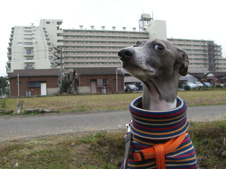 我がマンション