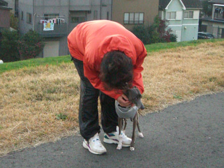 ウォーキングのおばさん