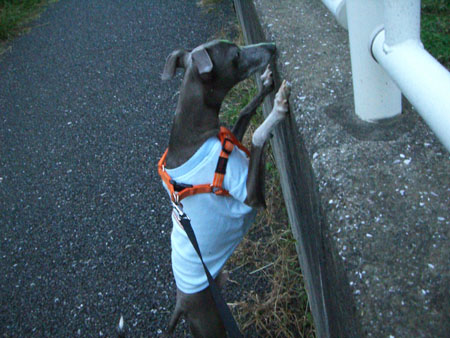 何見てるの?