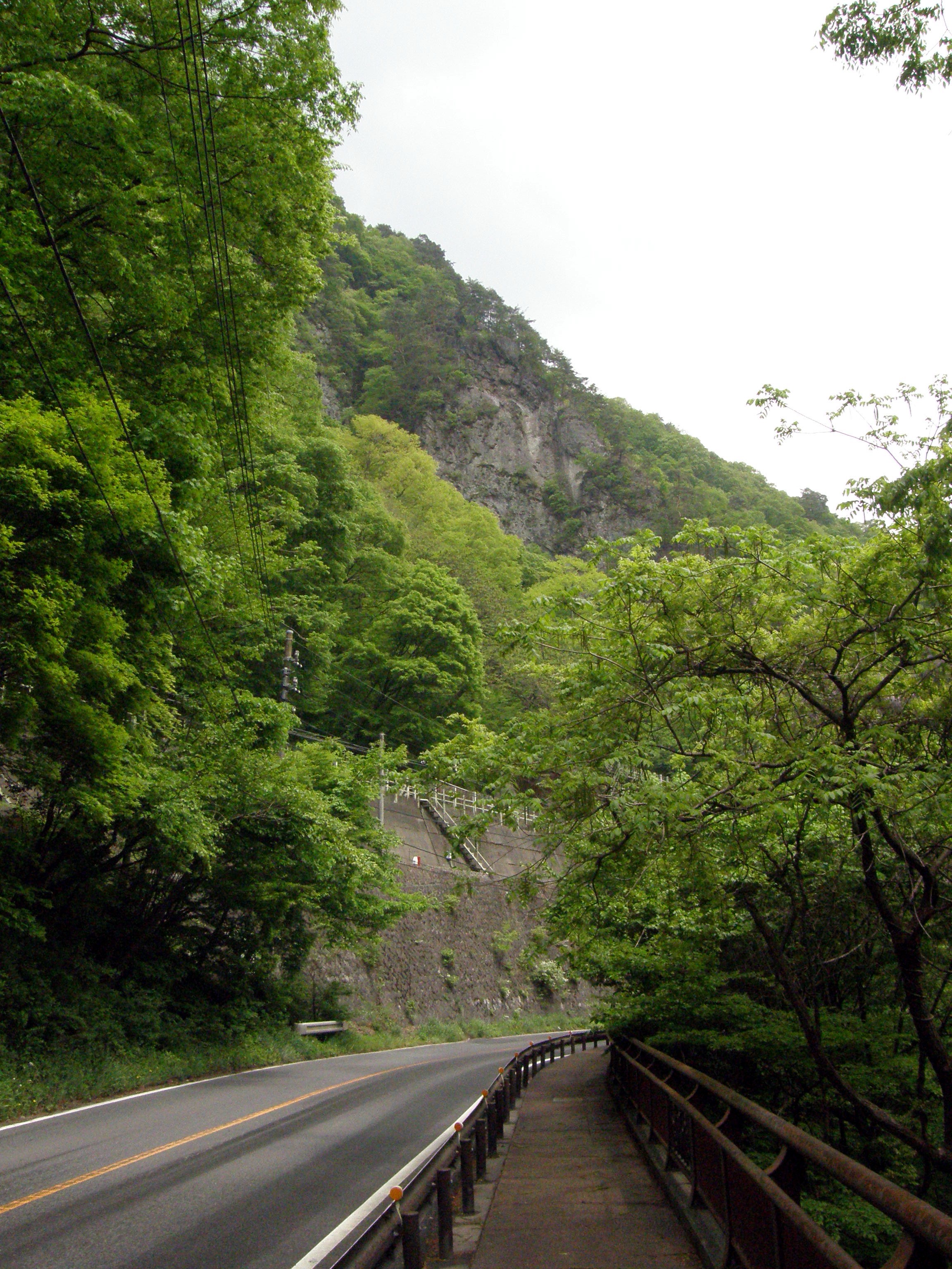 �������ξ��ƻ���Τ������ʤǤ���