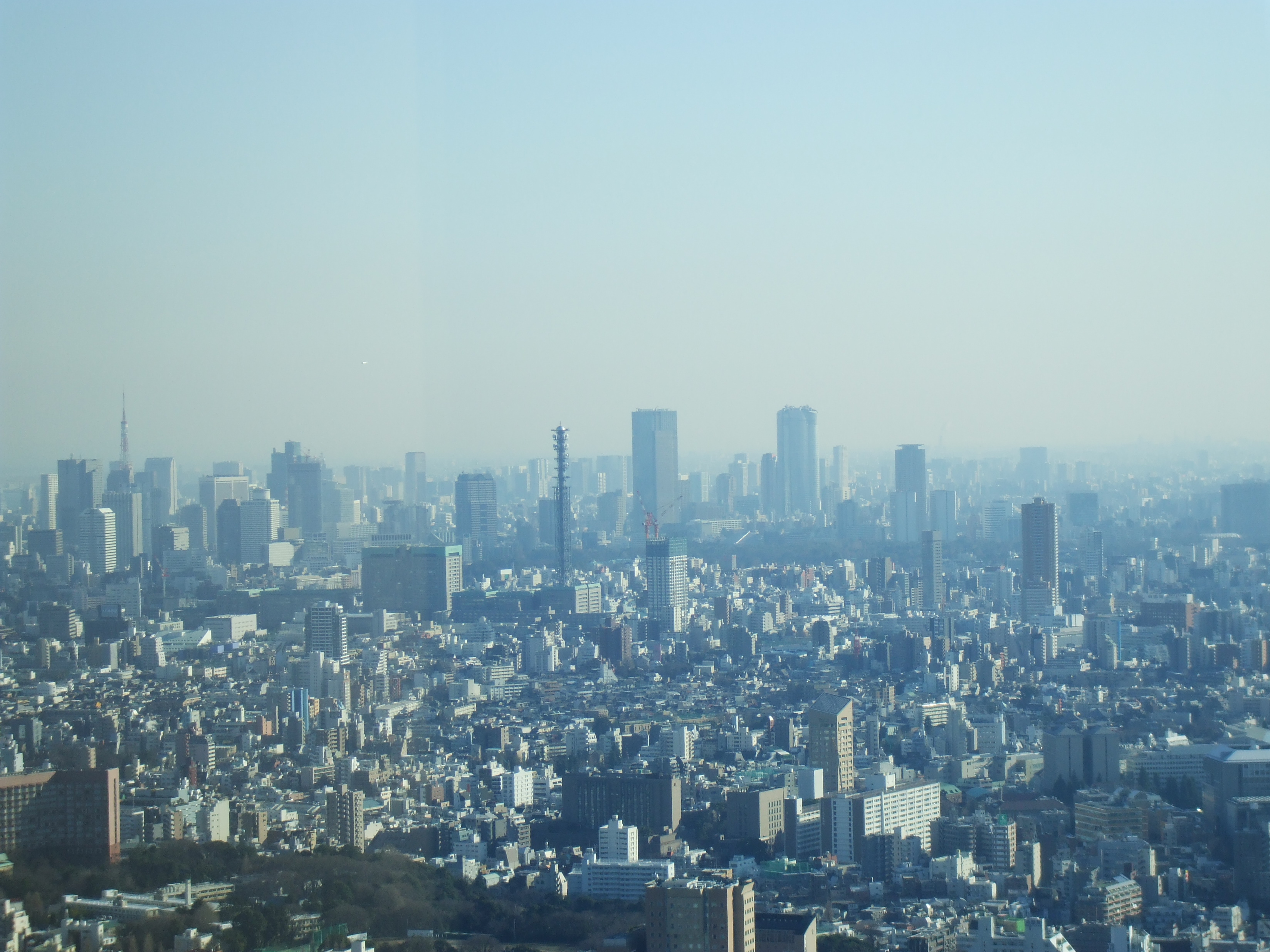 º¸¤ËÅìµþ¥¿¥ï¡¼¡¡Ãæ±û¤ËÏ»ËÜÌڥҥ륺