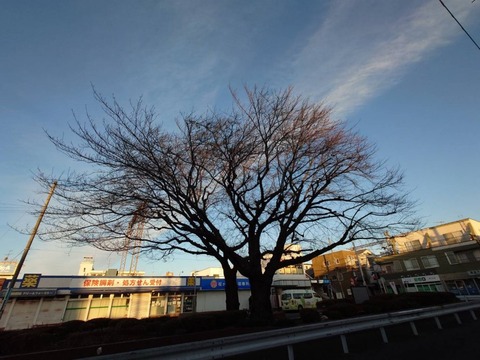 241212東口晴れ