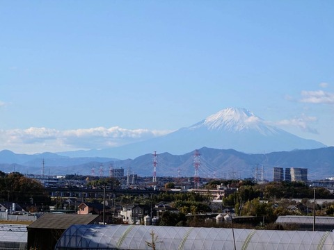 241209泉区からの富士山