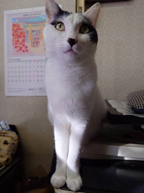 241216朝のミル