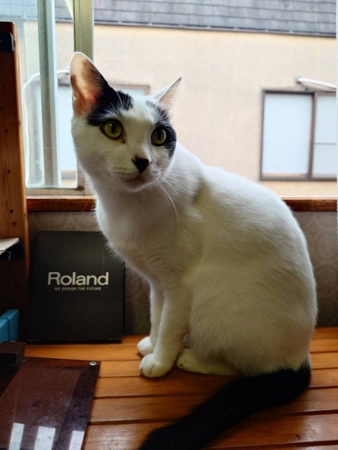 250420朝のミル窓